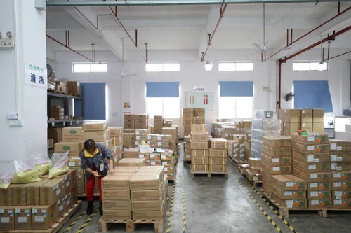 家門(mén)口的機(jī)遇 賓陽(yáng)電子廠招工，提供食宿，探索互聯(lián)網(wǎng)銷(xiāo)售新方向