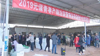 元謀蔬菜種業(yè)博覽會(huì) 拓展交流打造綠色食品牌，文化藝術(shù)交流活動(dòng)增添新活力